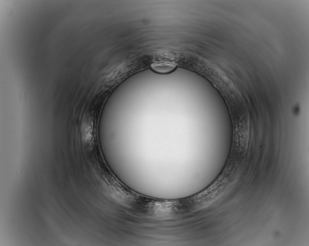 X0000100770134200806261553