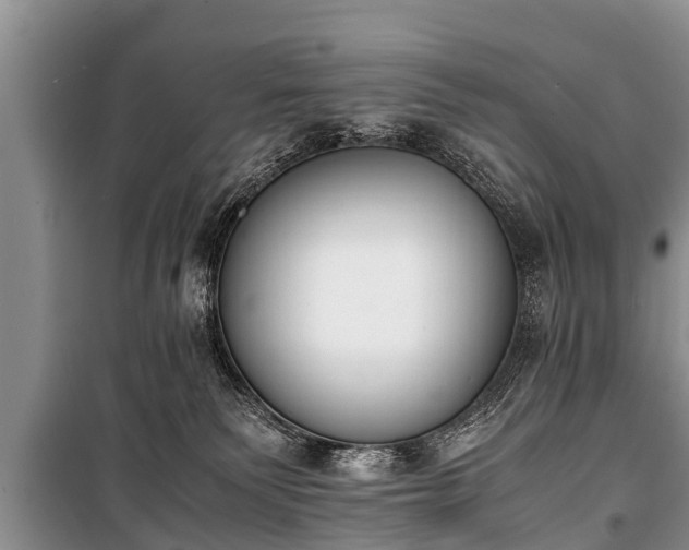 X0000100770135200806261553