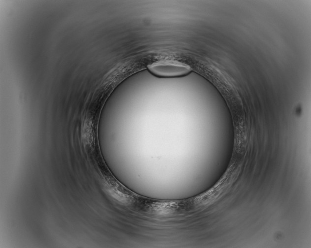 X0000100770136200806261553