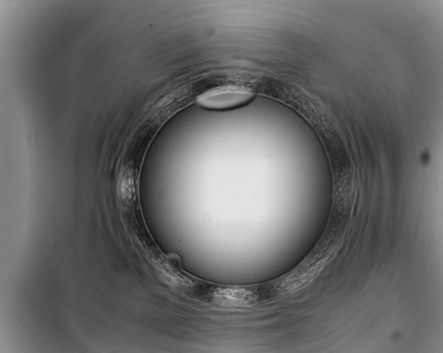 X0000100770137200806261553