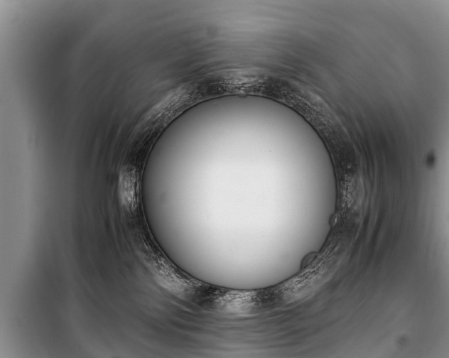 X0000100770138200806261553