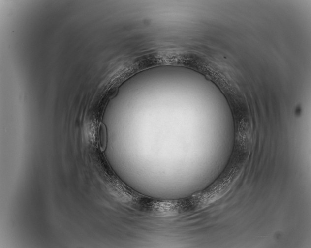 X0000100770139200806261553