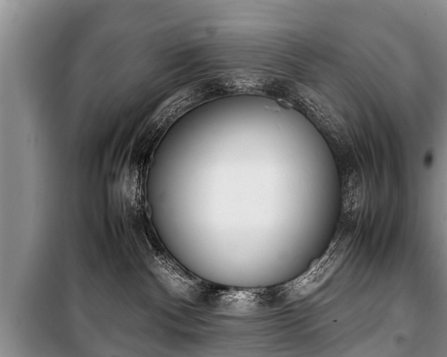 X0000100770140200806261553