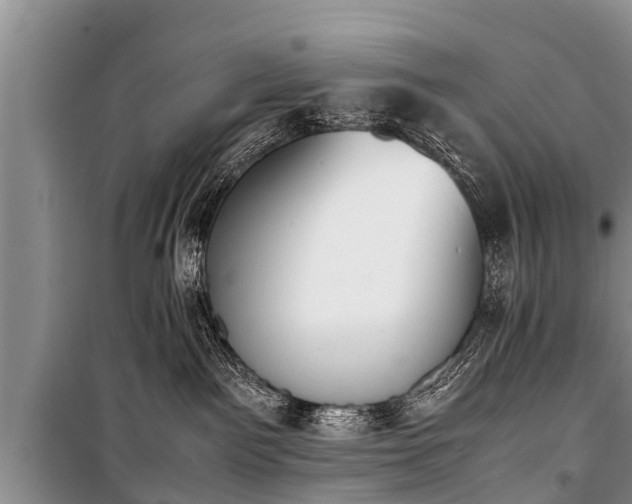 X0000100770141200806261553