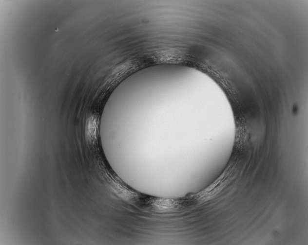 X0000100770142200806261553