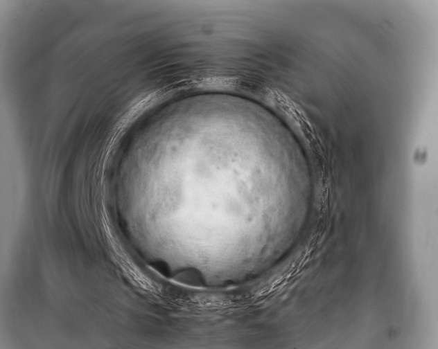 X0000100770145200806261552