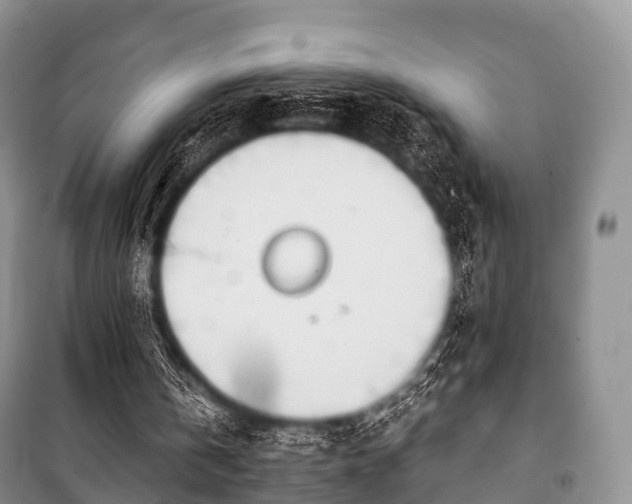 X0000100770146200806261552