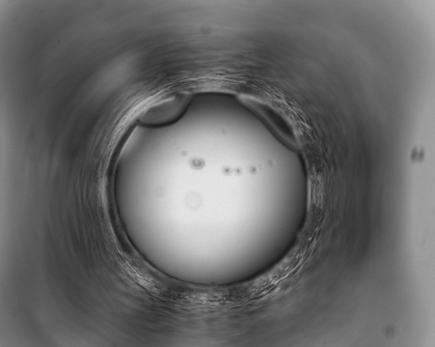 X0000100770147200806261552