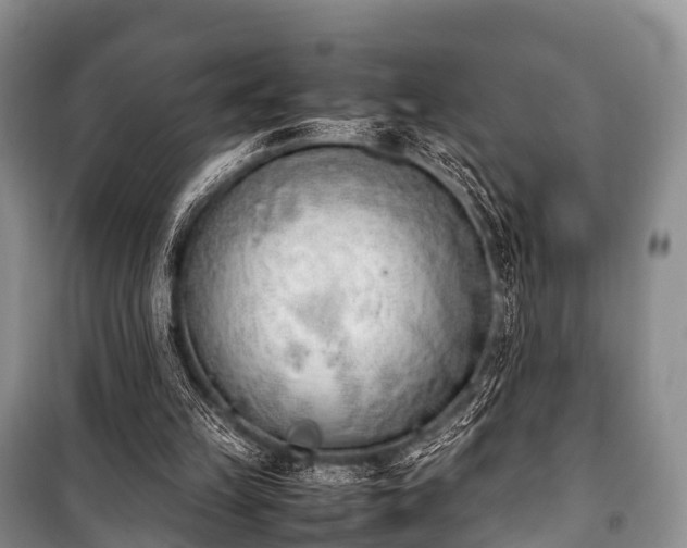 X0000100770149200806261552