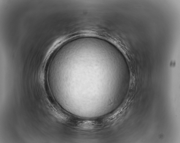 X0000100770151200806261552