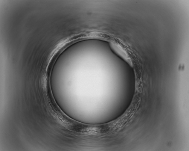 X0000100770152200806261552