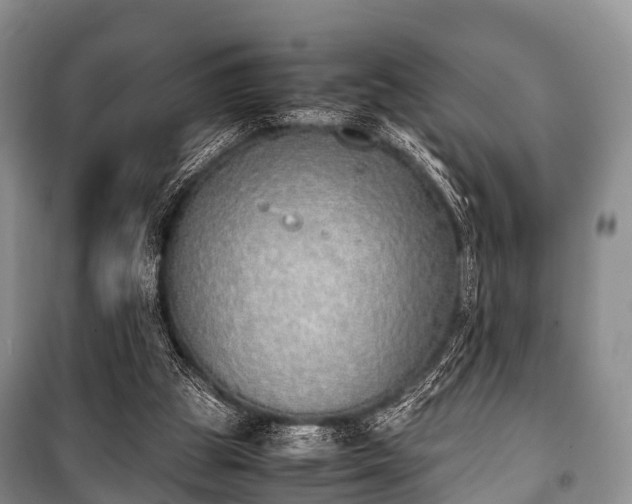 X0000100770153200806261552