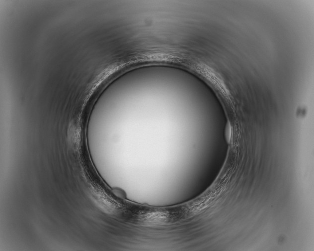 X0000100770156200806261552