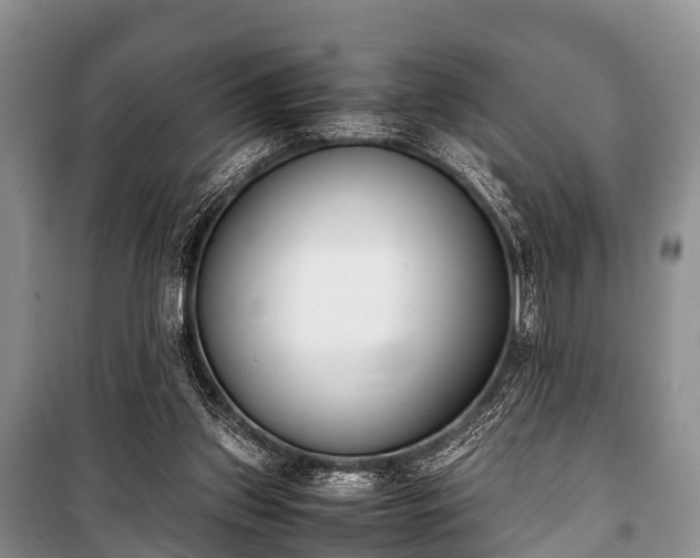 X0000100770157200806261552