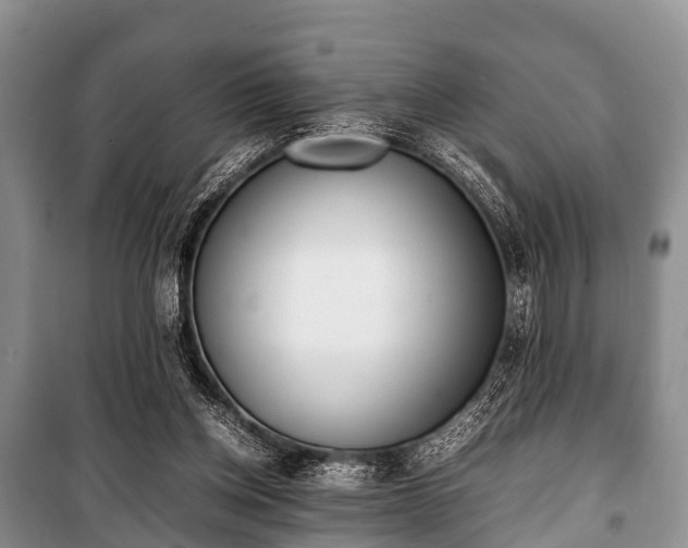 X0000100770158200806261552