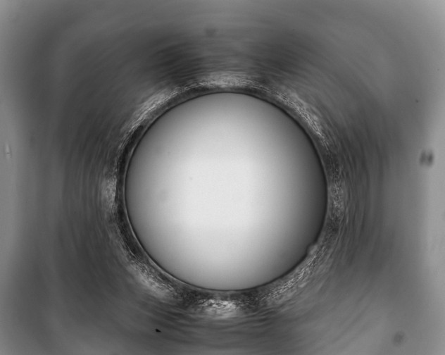 X0000100770159200806261552