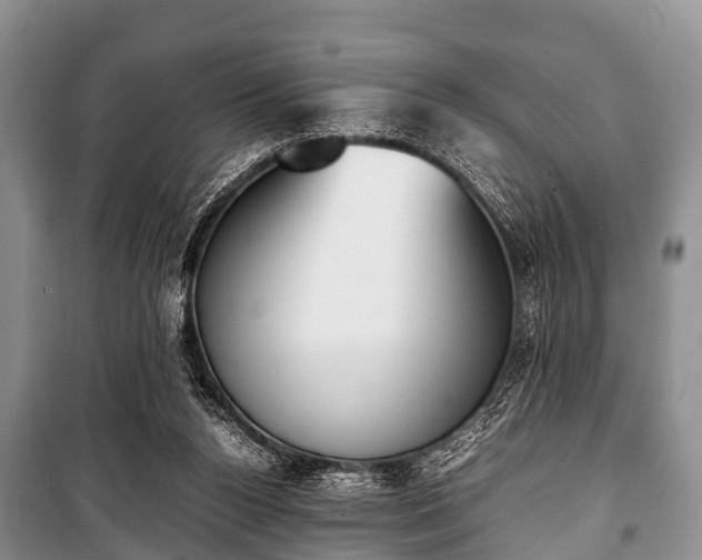 X0000100770160200806261552