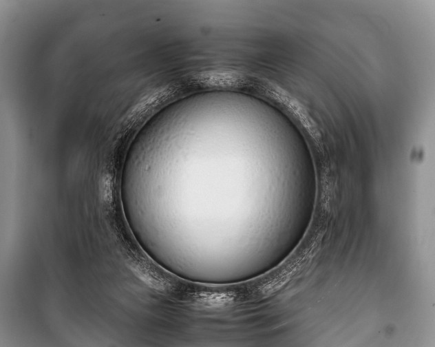 X0000100770161200806261552