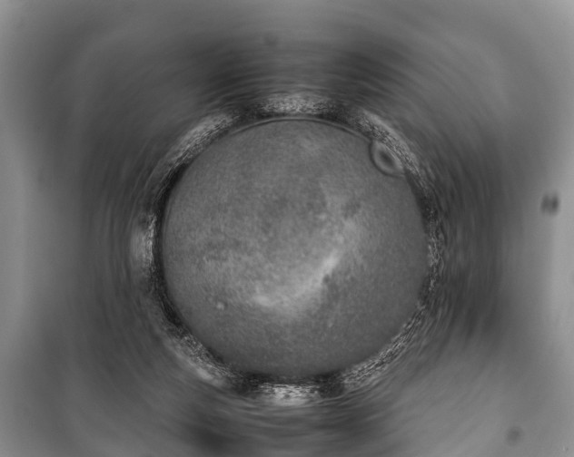 X0000100770163200806261552