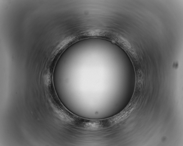 X0000100770164200806261552