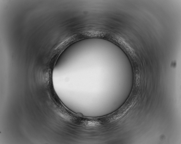 X0000100770165200806261552