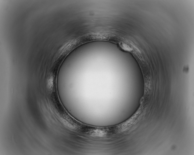 X0000100770166200806261552