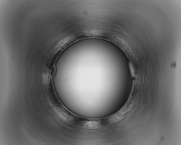 X0000100770168200806261552