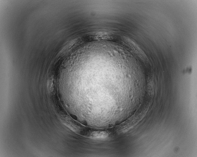 X0000100770169200806261552
