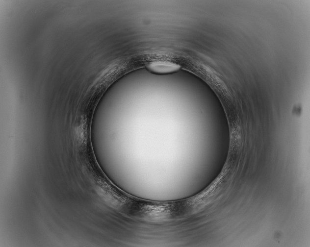 X0000100770170200806261552