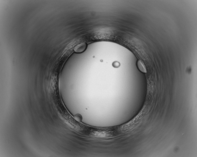X0000100770171200806261552