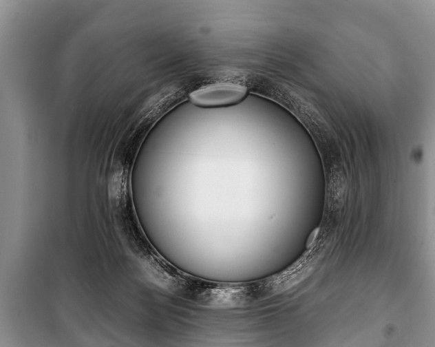 X0000100770172200806261552