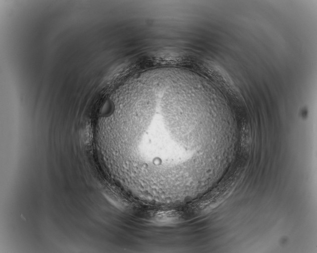 X0000100770173200806261552