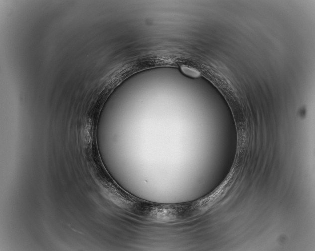 X0000100770174200806261552