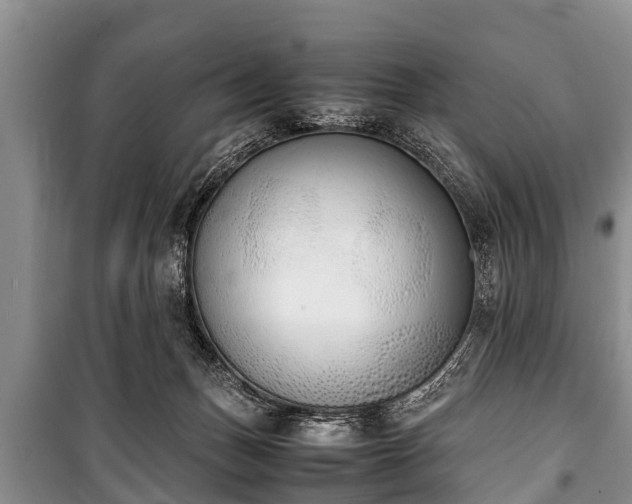 X0000100770175200806261552