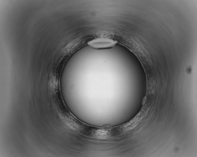 X0000100770176200806261552