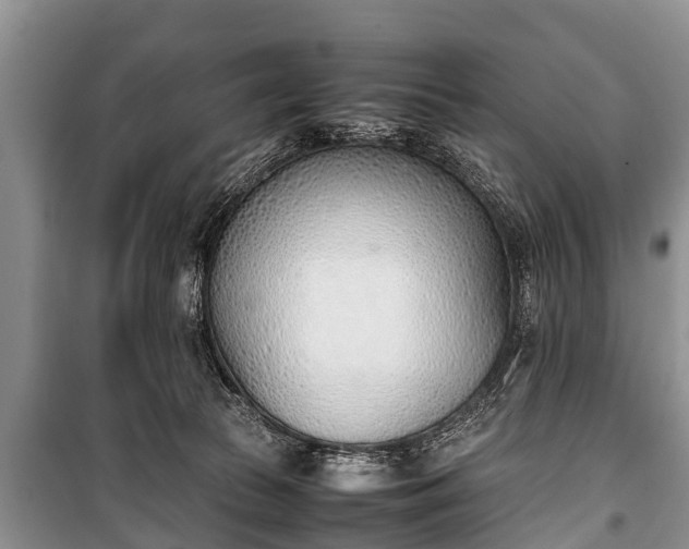 X0000100770177200806261552