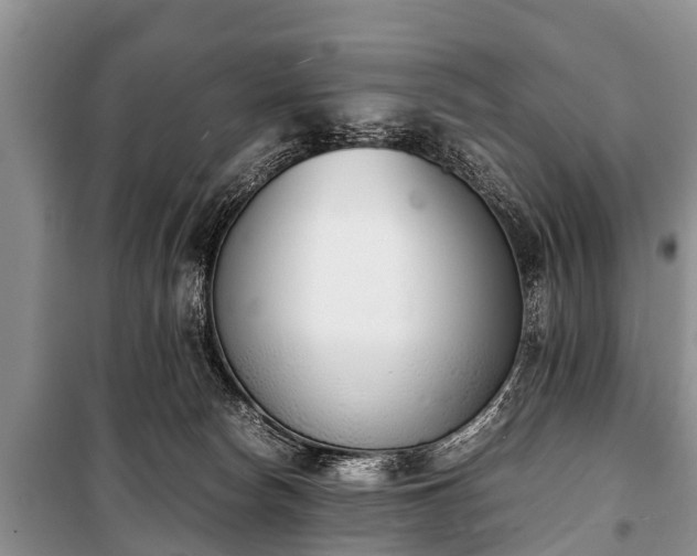 X0000100770178200806261552