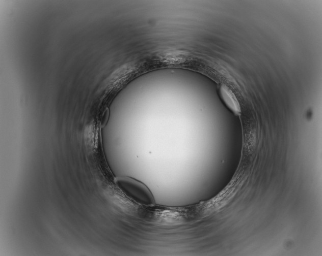 X0000100770180200806261552