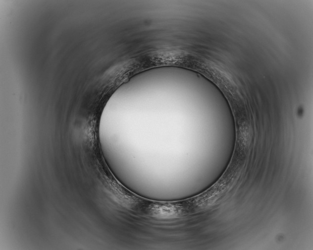 X0000100770181200806261552
