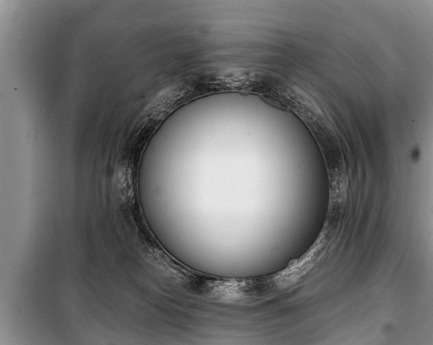 X0000100770182200806261552