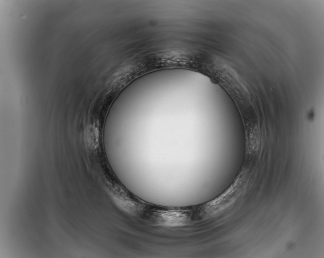 X0000100770183200806261552