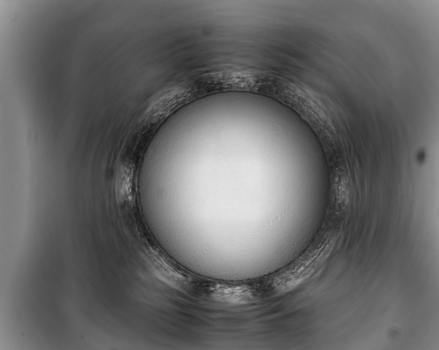 X0000100770185200806261552