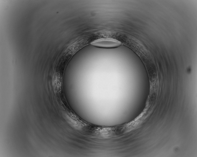X0000100770186200806261552