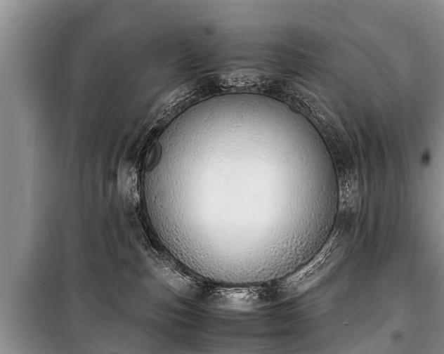 X0000100770187200806261552