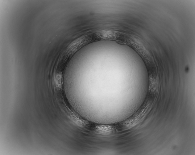 X0000100770189200806261552