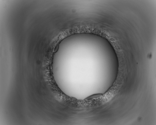 X0000100770192200806261552