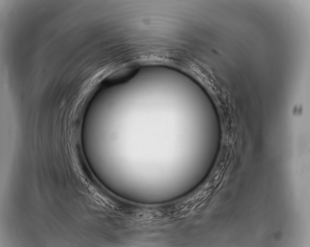 X0000100770193200806261552