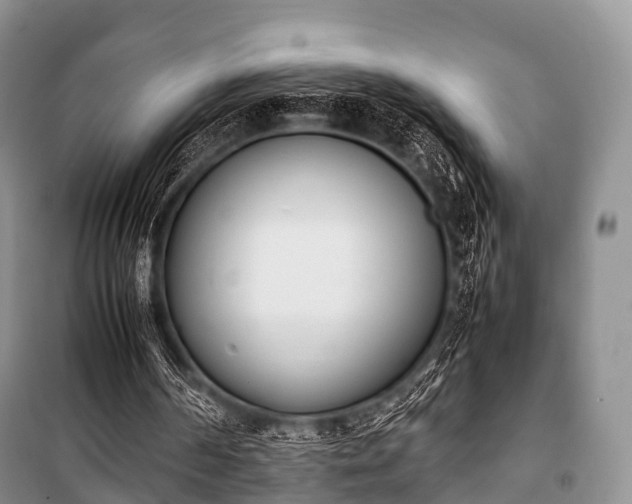 X0000100770194200806261552