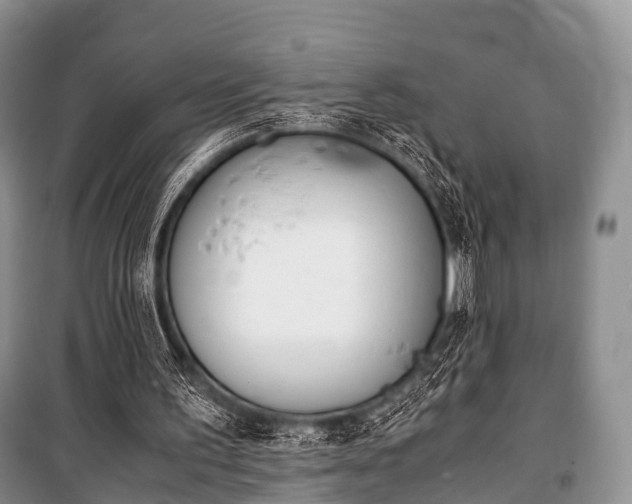 X0000100770195200806261552