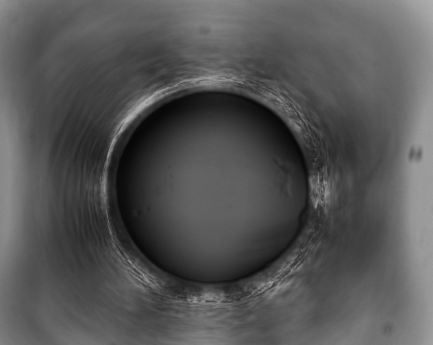 X0000100770196200806261552